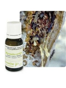 Encens ou oliban bio Huile essentielle 5ml - Aromathérapie Pranarom