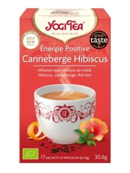 Energie positive bio Infusion ayurvédique 17infusettes - Yogi Tea