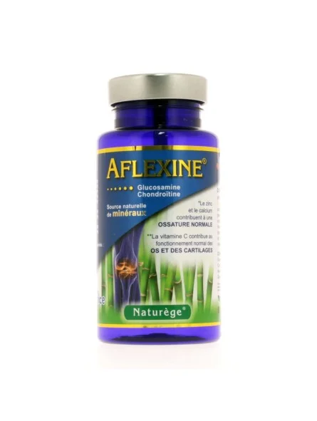 Aflexine 90gél - Confort articulaire Naturège
